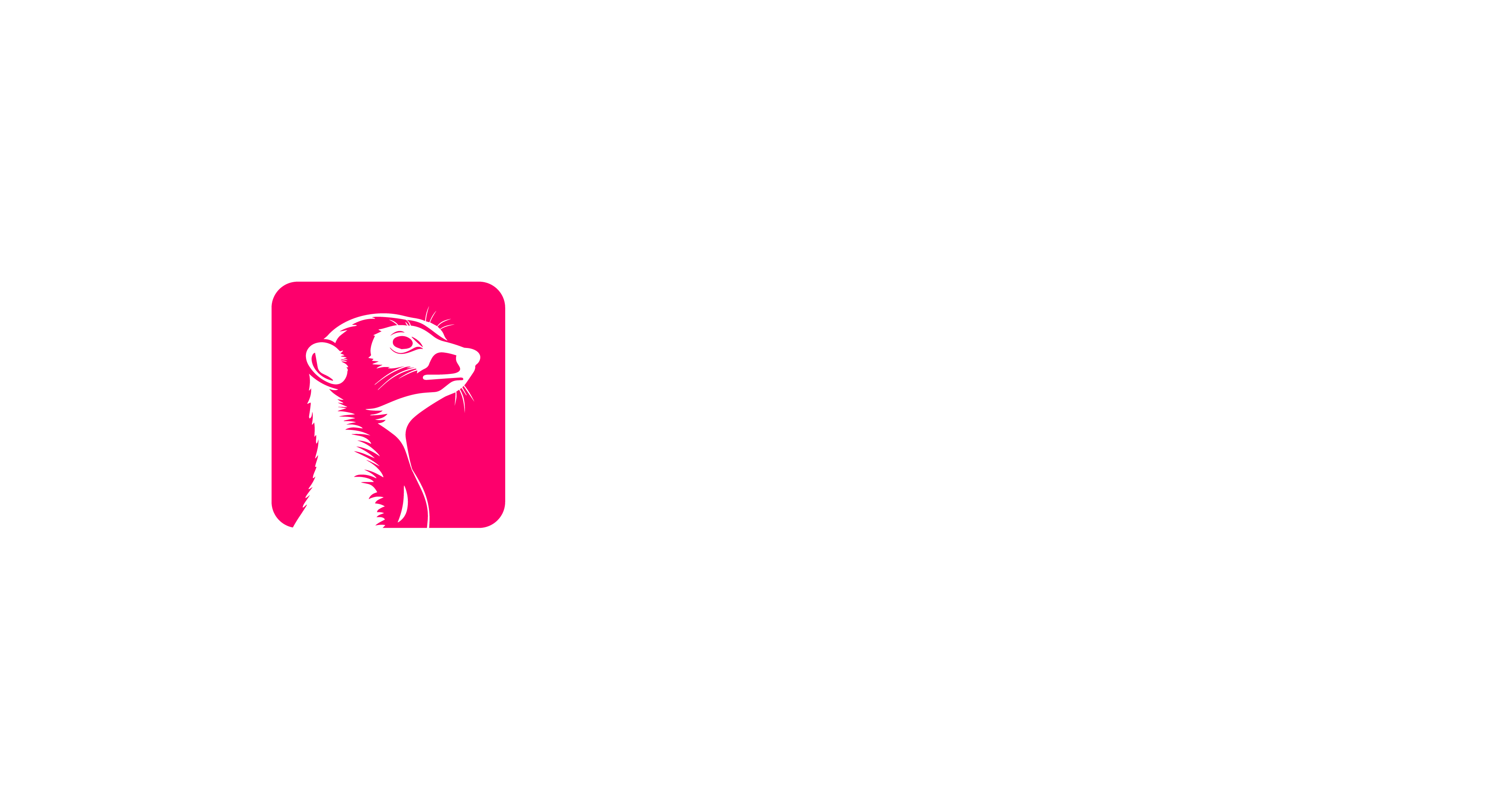 Surikata