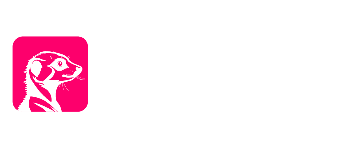 Surikata