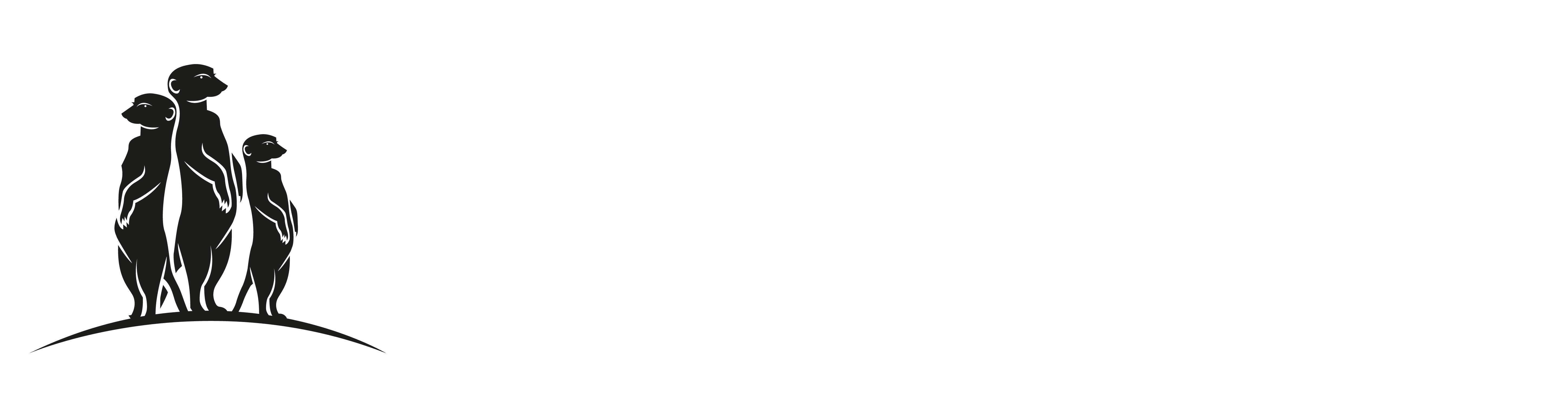 Surikata